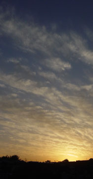 sunset